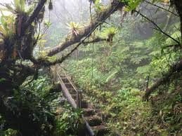 Mombacho Volcano Hike | Puma Trails